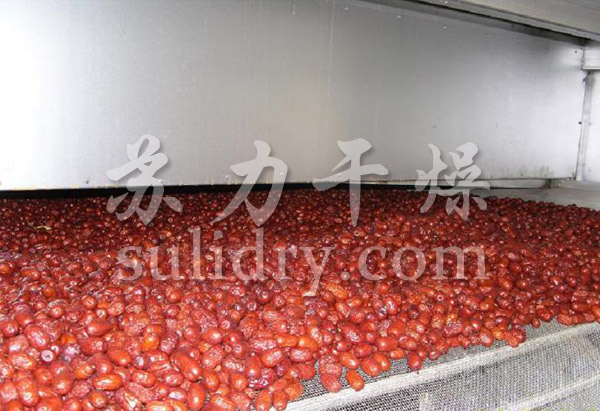 椰蓉專用帶式干燥機